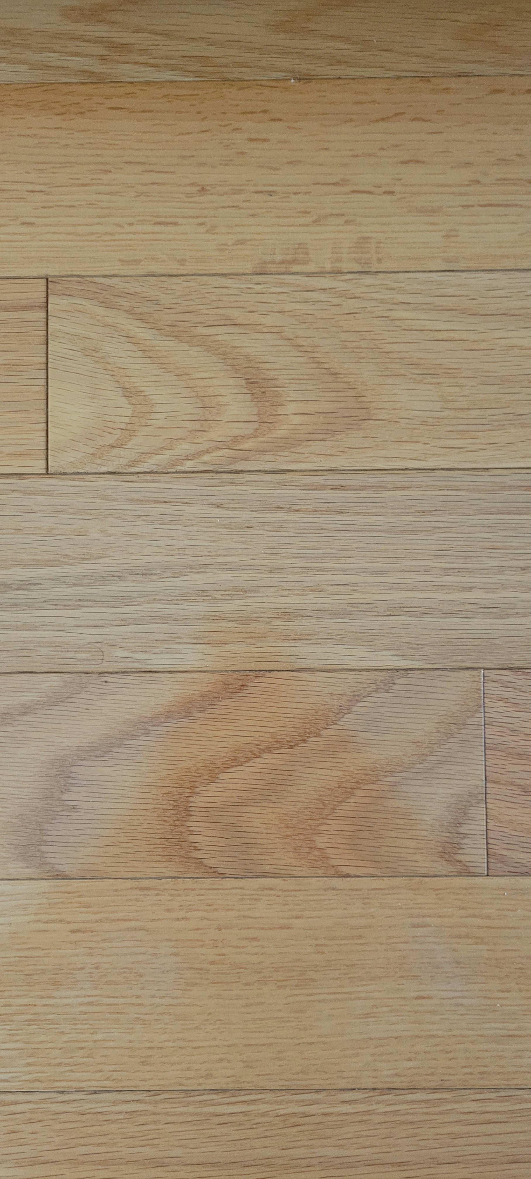 Vinyl plank flooring installation tools and materials